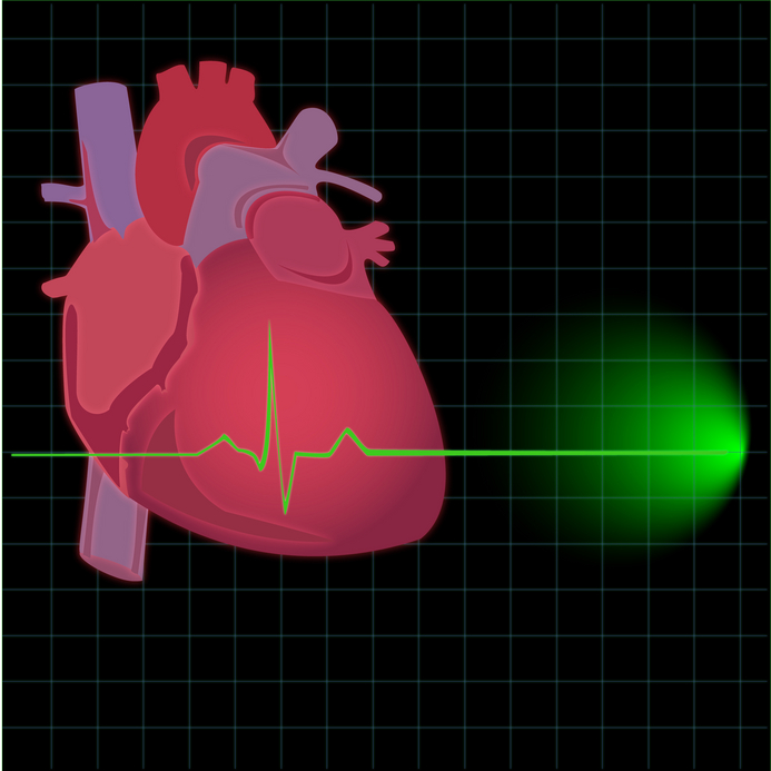 Image: Human Heart